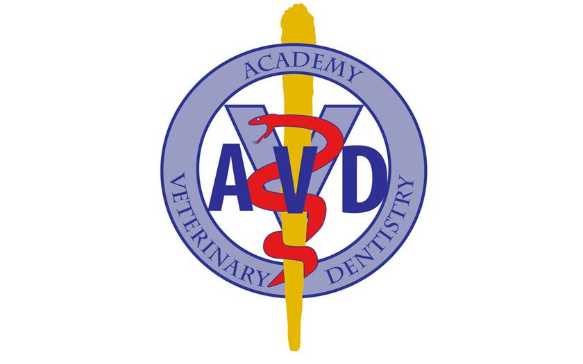 American Veterinary Dermatology