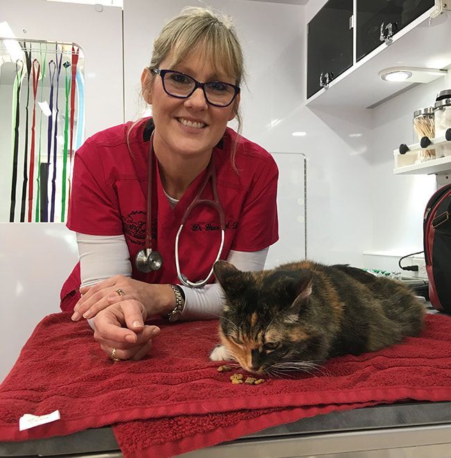 A Saving Grace patient