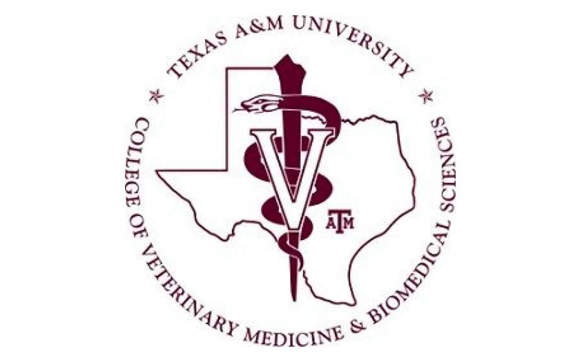 Texas A&M University